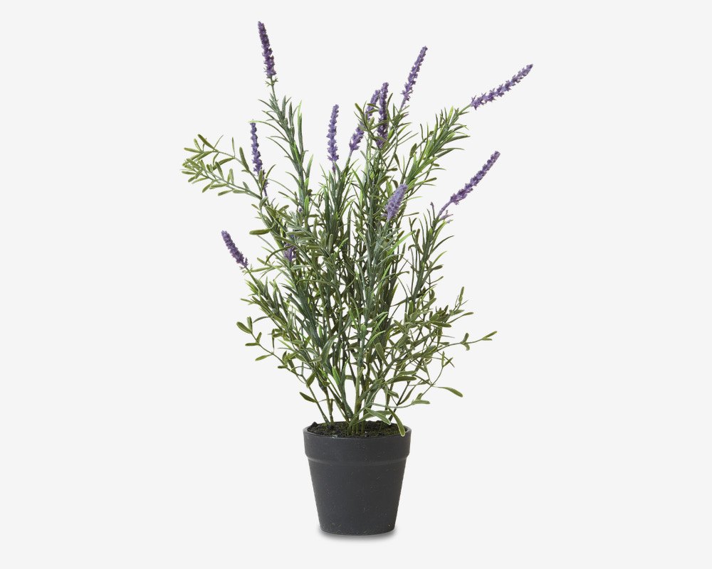 Lavendel Potte Plastik H.41 cm 