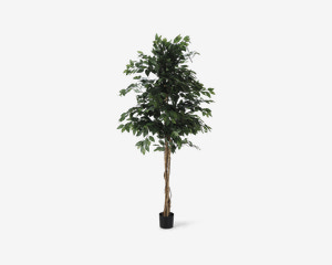 Ficus Kunstig Træ H.180 cm 