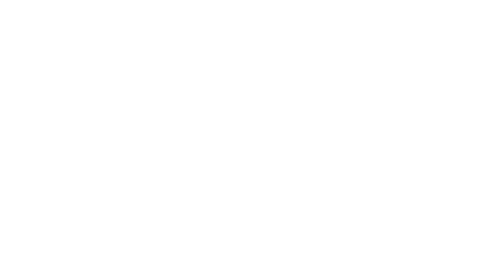 DSV Global Transport and logistics logo