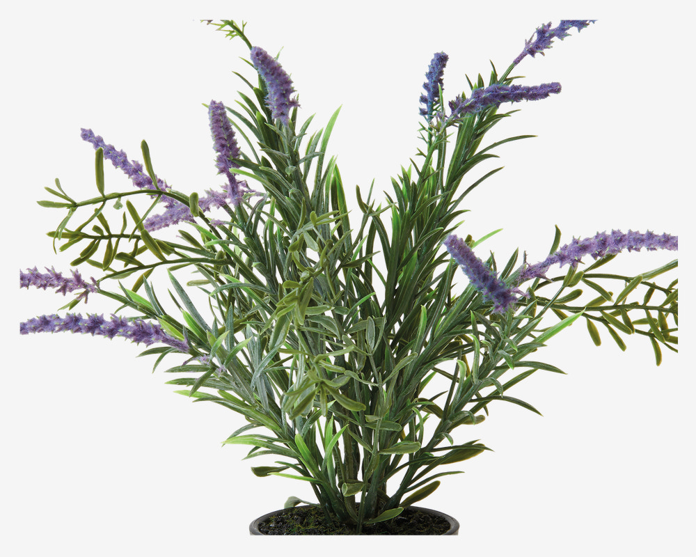 Lavendel Potte Plastik H.30 cm 