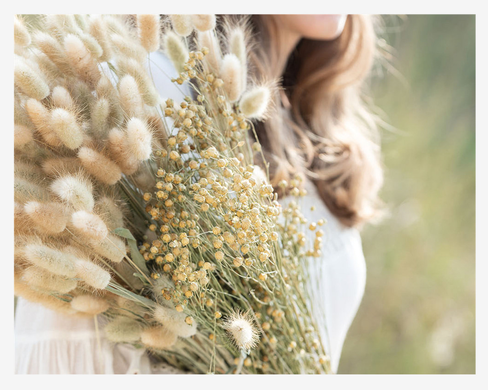 Buket Tørret Gypsophila Hvid 