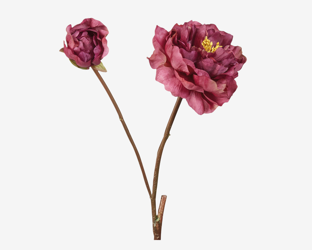 Stilk Peony Bordeaux H.60cm