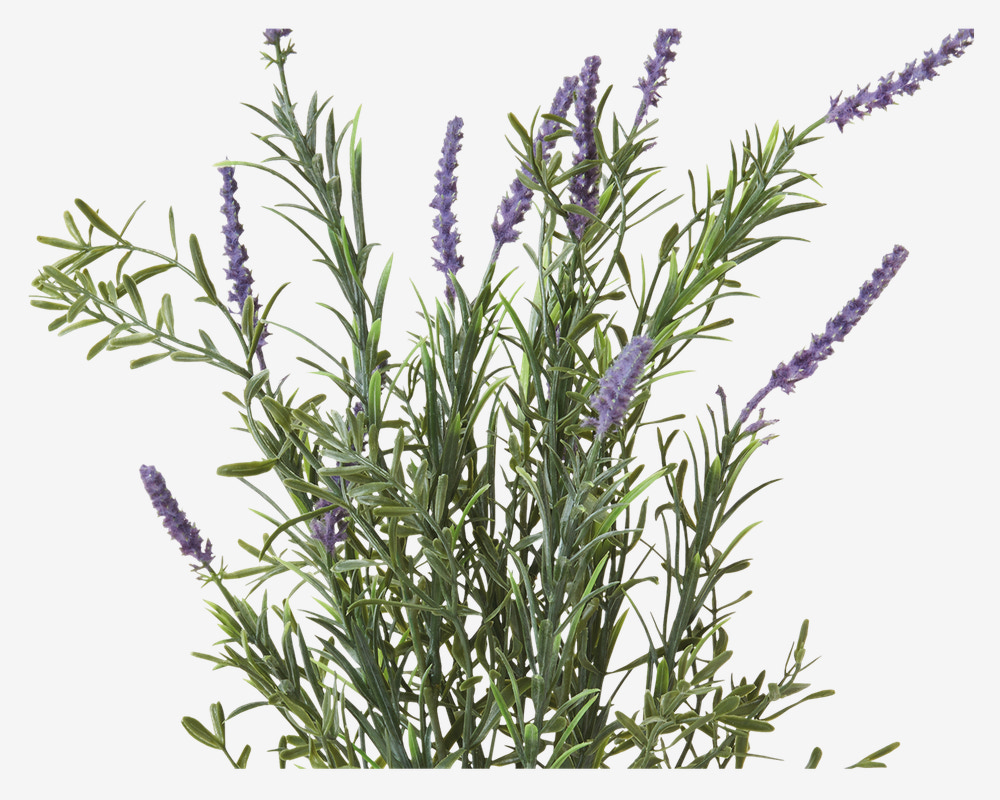 Lavendel Potte Plastik H.41 cm 