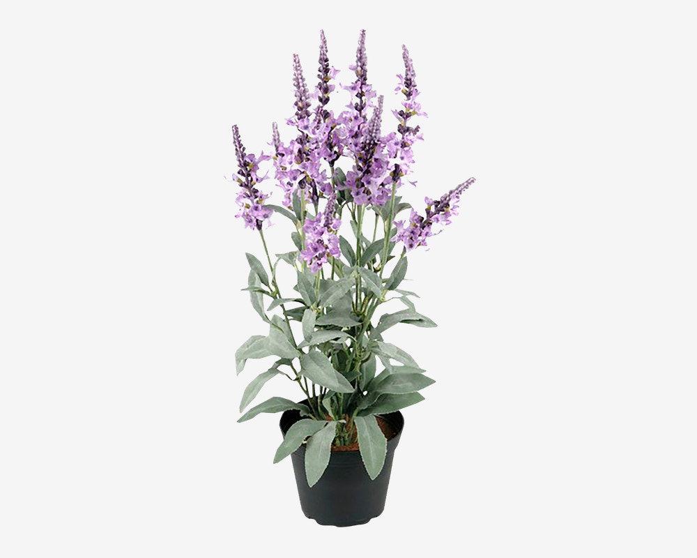 Blomst Veronica Lilla 46 cm