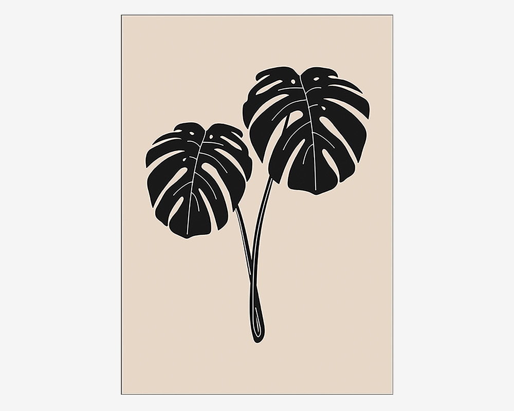 Plakat Monstera Deliciosa 